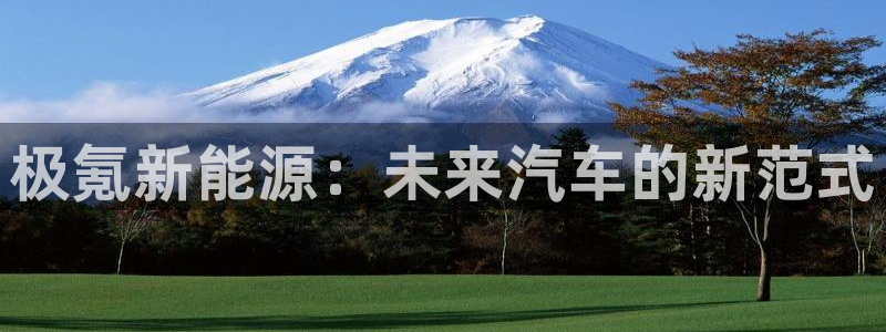 c新宝GG：极氪新能源：未来汽车的新范式