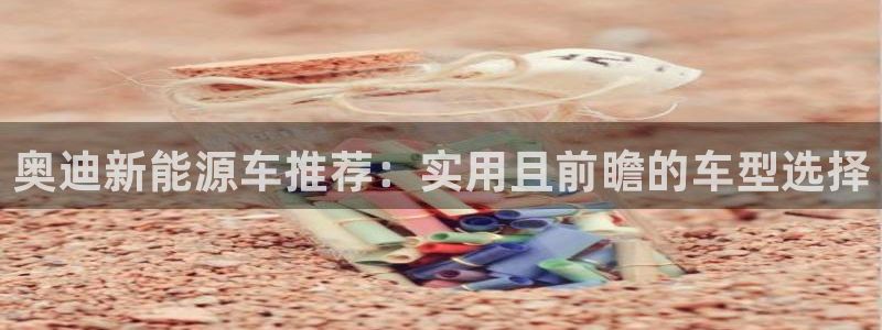 登录新宝gg游戏：奥迪新能源车推荐：实用