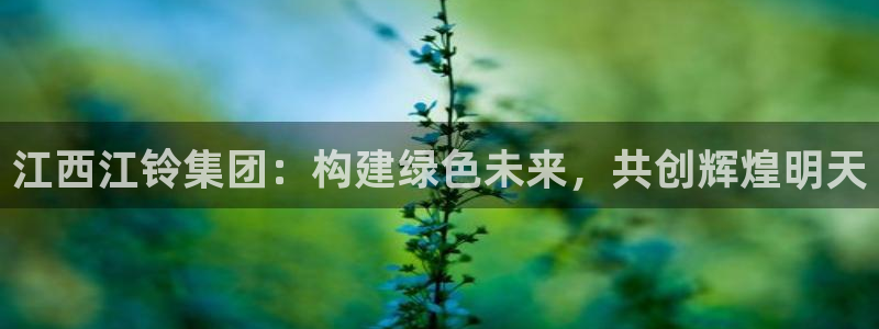 新宝gg娱乐怎么样：江西江铃集团：构建绿