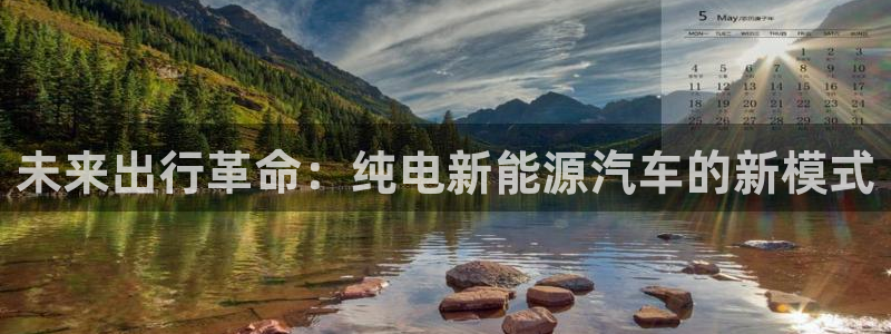 新宝gg类似：未来出行革命：纯电新能源汽