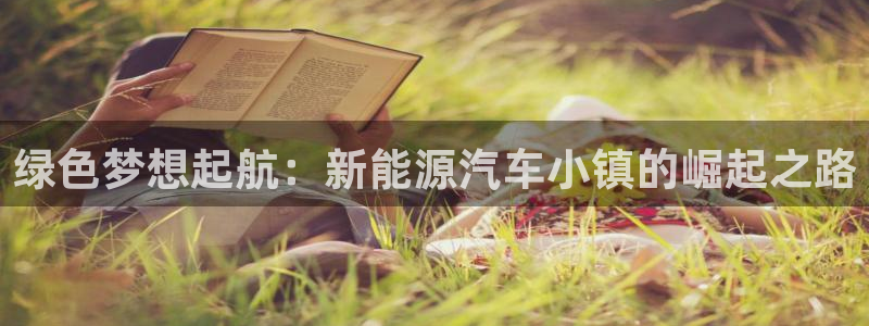 新宝gg如何登录