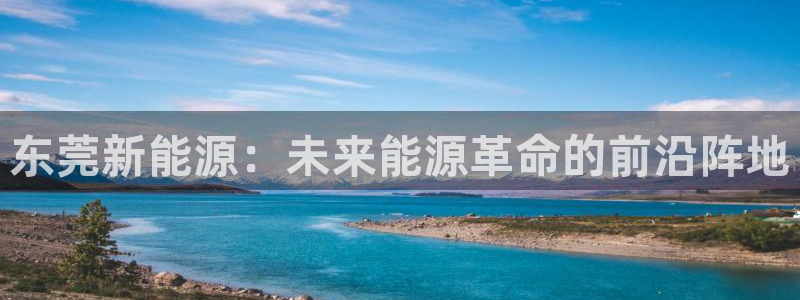 新宝gg平台下载安装