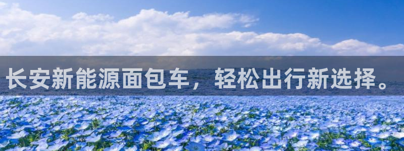 新宝gg主管都是谁