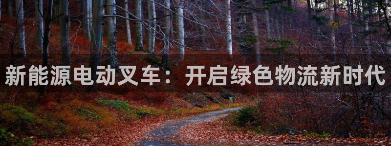 新宝gg开奖结果可信吗:新能源电动叉车:开启绿色物流新时代