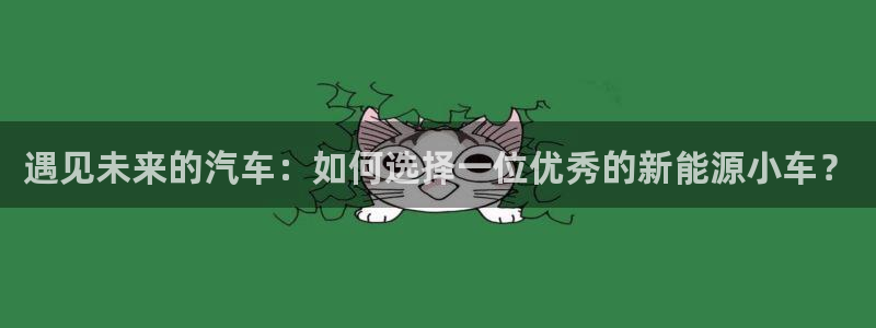 新宝gg是新宝几