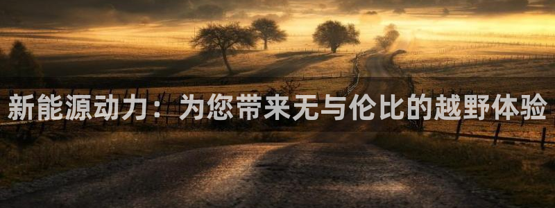 新宝gg首页平台