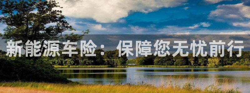 新宝gg注册登录网址：新能源车险：保障您